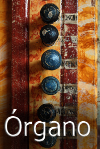EL ORGANO